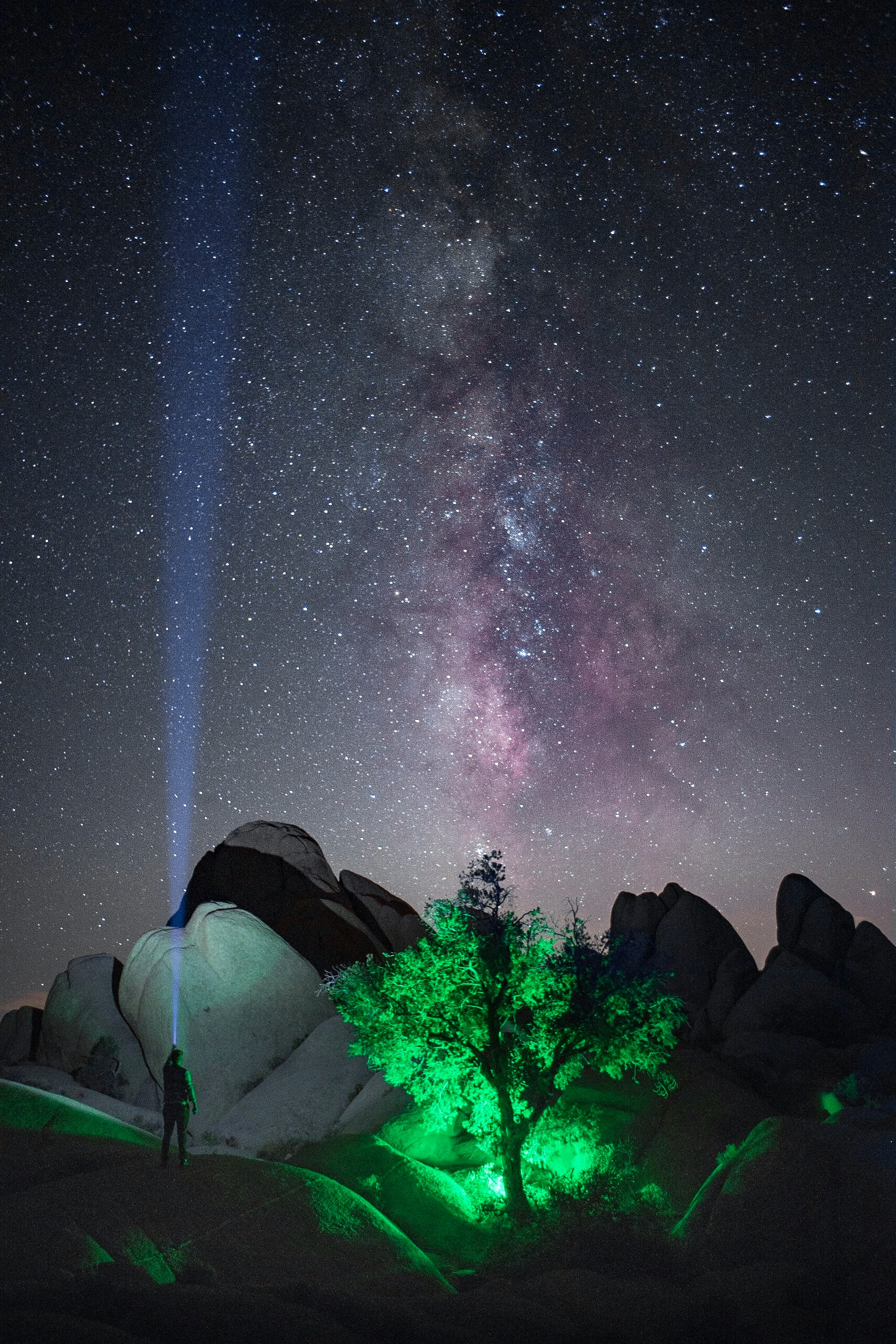 person with flashlight near lighted green tree on mountain under starry night